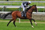 I’m Imposing and Multilateral Go Head to Head in 2014 Festival Stakes