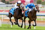 Will Geelong Cup Form Surprise for Ibicenco in Flemington Race 7?