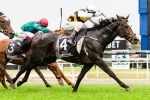 Gatewood Gears Up for Melbourne Cup 2014
