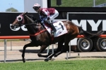 Tinto Carries Top Weight to 2015 Magic Millions Stayers Cup Win