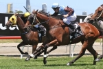2015 Ipswich Cup Tips and Betting Preview