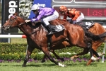 Magic Millions Open Sprint 2015 Odds: Top Two Hard To Split