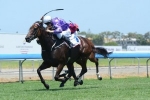 Berry Backs Kinnersley for Hawkesbury Gold Cup 2013