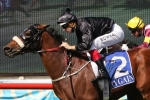 Epingle on to Brisbane Cup after Chairman’s Handicap win