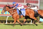 Streama Claims Strong Win in 2014 Hollindale Stakes