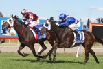 Tinto Eyes Gold in Queensland Oaks 2014