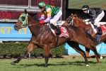 Updated Queensland Oaks 2013 Odds – Still a Two Filly Race