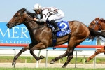 Myer Classic the Likely Spring Target for Miss Cover Girl