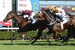 Niccanova Suited To 2017 George Moore Stakes