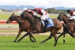 2014 Civic Stakes Betting Tips