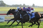 2013 Queensland Guineas Tips & Betting Selections