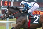 Real Surreal Takes Out 2015 Gai Waterhouse Classic