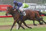 Jazz Song Wins Gai Waterhouse Classic 2014 for Price