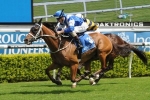 Permit Returns To Winning Form With 2013 Christmas Cup Victory