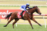 Thousand Guineas the Target for Sanadaat