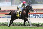 Heatherly to Target for 2016 Moir Stakes