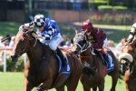 Polarisation Fit For Rescheduled 2017 Sydney Cup