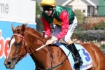 May’s Dream Heads 2014 Queensland Oaks Nominations