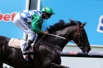 Signoff Clear Favourite to Win 2014 Lexus Stakes
