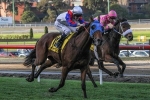 Weather to Confirm Ballarat Cup for Digitalism