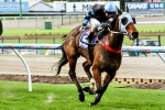 The Cleaner Leads Capacity 2014 Railway Stakes Field