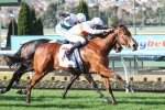 Pride Rock Griffiths’ Pick in Lightning Stakes