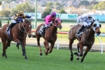 2014 Cox Plate Bid After Valley Clean-Up