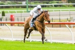 2013 McKenzie Stakes Rematch for Clevadude & Cauthen