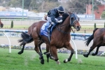 Mourinho to Step Up to Group One following 2014 Cranbourne Cup Win
