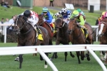 Baster To Go Forward on Awesome Rock in 2016 Cox Plate