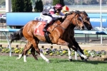 Angelic Light Leads 2014 Winterbottom Stakes Odds