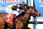 Angelic Light Settles Well Ahead of Winterbottom Stakes 2014