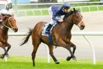 2013 Underwood Stakes Betting Tips
