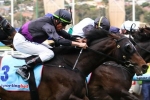 2013 Melbourne Cup Betting Update – Fiorente Only One Under $10