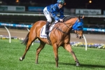 2015 Darley Classic Barrier Suits Buffering