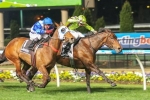 Can 11th Hour Chance Renew Win Caulfield Cup 2014?