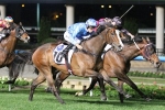 Myer Classic the Target for Stocks Stakes Winner Don’t Doubt Mamma