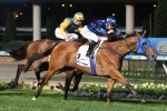 2015 Moir Stakes Results: Buffering Defends Crown