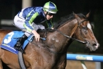 Keen Array to Take Benefit from Bletchingly Stakes