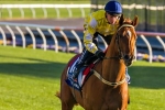 2015 Queen Elizabeth Stakes Odds Update: To The World Favourite