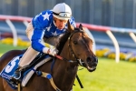 Mackinnon Stakes 2014 Form Guide & Preview
