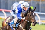 Can Royal Descent Break Second Place Status in Cox Plate?