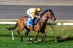 Lankan Rupee Out of 2014 Winterbottom Stakes