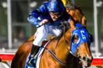 Manikato Stakes 2016 Odds Update: Money for Buffering