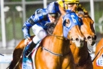 2015 Manikato Stakes Swansong for Buffering