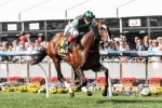 2014 Emirates Stakes Field Features Hooked