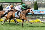 Prince Of Penzance at Long Melbourne Cup Odds