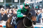 Savvy Nature Leads Latest Victoria Derby Odds 2013