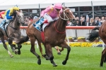 2013 Blue Diamond Stakes Gate to Suit Crack A Roadie