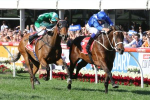 2017 Cox Plate Results: Winx Wins in Tight Finish with Humidor